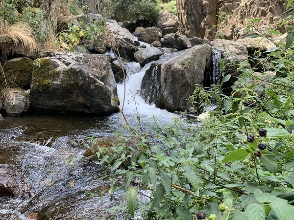 Несложный хайкинг на 4 часа вдоль Узун Каргалы к водопаду Большой Шимбулак - фото 3