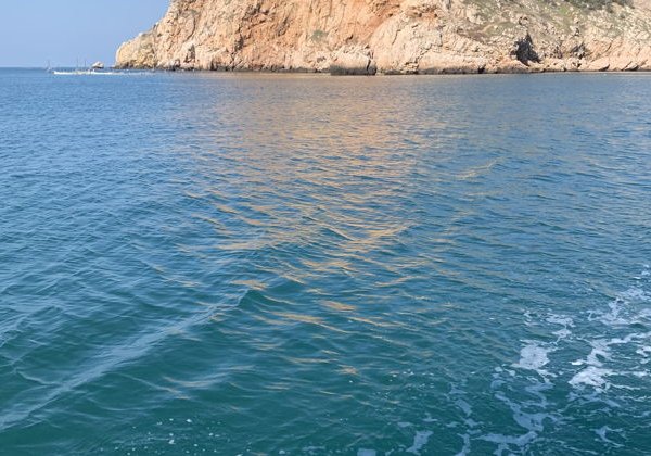 Мыс Фиолент, музей и морская прогулка в Балаклаве - фото 2