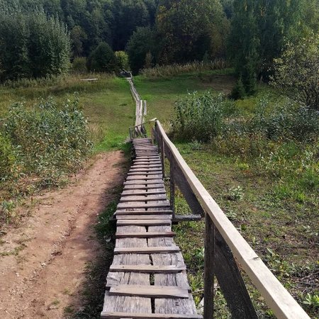 На Исуповское болото — по следам Ивана Сусанина (на вашем автомобиле из посёлка Сусанино)