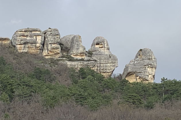Фото экскурсии - Крымский Прованс и великолепная лаванда - 1