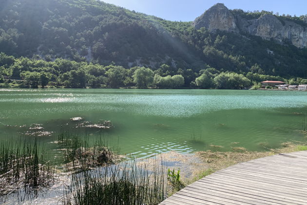 Фото экскурсии - Крымский Прованс и великолепная лаванда - 3