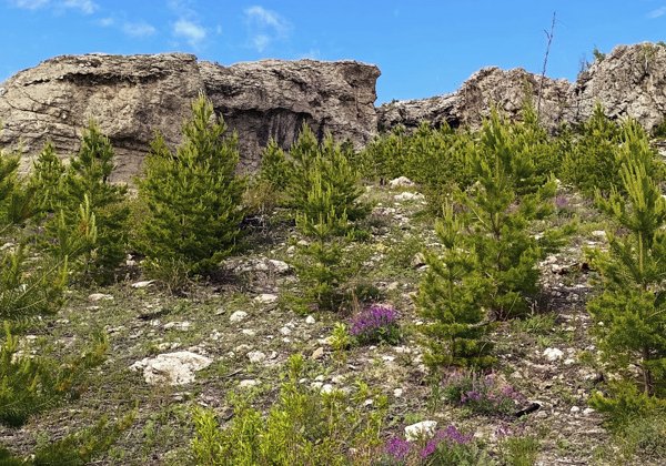 Авторский джип-тур по Чите и её окрестностям