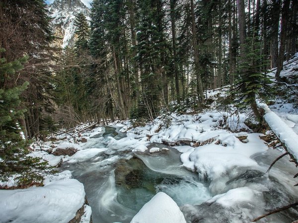 Белый водопад в зимней сказке! Трансфер из Архыза туда и обратно - фото 3
