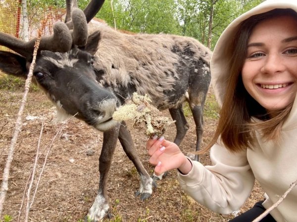 Мурманск, Териберка и Саамская деревня: перезагрузка на краю Земли и знакомство с оленями - фото 1