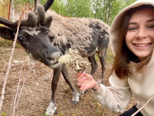 Мурманск, Териберка и Саамская деревня: перезагрузка на краю Земли и знакомство с оленями