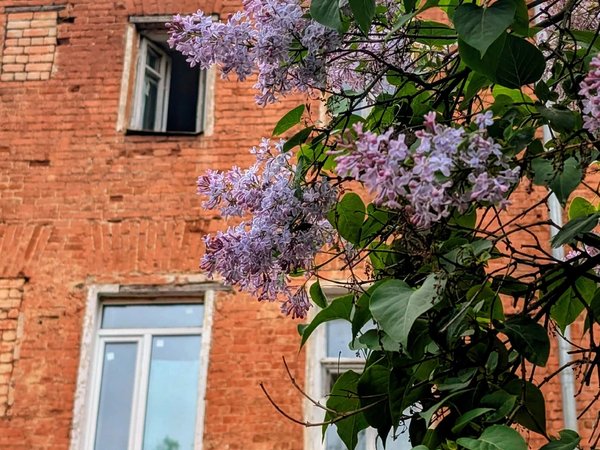 От мирового признания до живописных руин: первый микрорайон в России — в Твери - фото 3