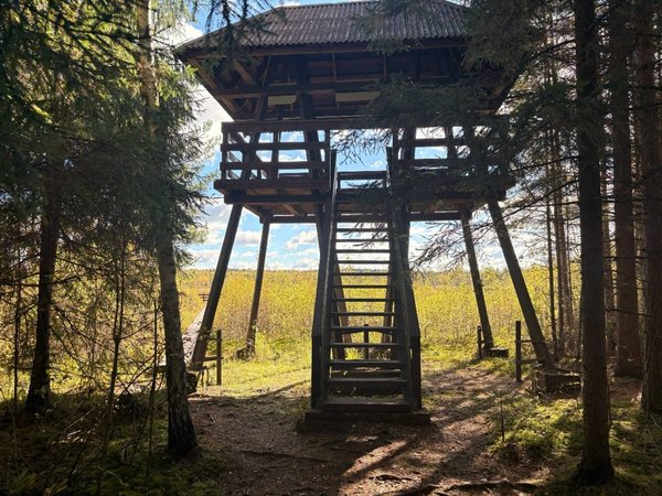 Два ландшафта Угры: Галкинское болото и арт-парк «Никола-Ленивец» (из Калуги)