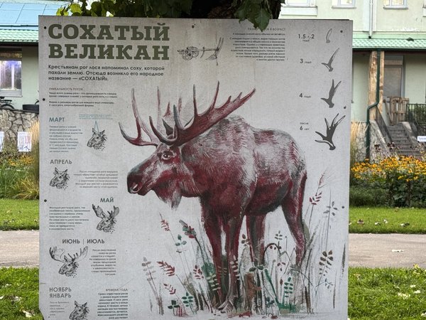 Ленинградский зоопарк: животные и судьбы - фото 4