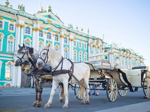 Обзорная экскурсия по Санкт-Петербургу - фото 3