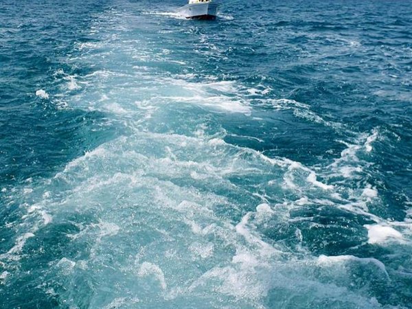 Морской круиз в Диббу: всё включено - фото 2