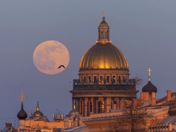 Санкт-Петербург — город у эшафота - фото 2