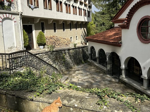 Боянская церковь и Драгалевский монастырь — из Софии с искусствоведом - фото 3