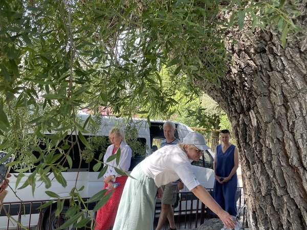По следам горцев: Гамсутль, Чох и Салтинский водопад (обед включён) - фото 4