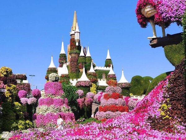 Сад цветов Miracle Garden и Всемирная ярмарка Global Village — трансфер из Шарджи - фото 4