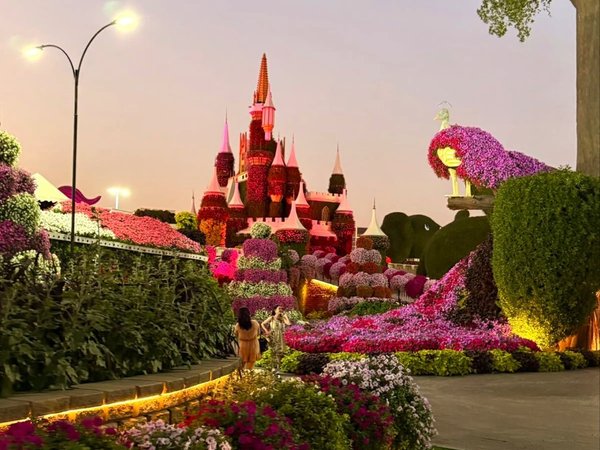 Сад цветов Miracle Garden и Всемирная ярмарка Global Village — трансфер из Шарджи - фото 3