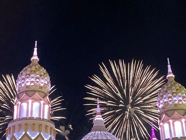 Сад цветов Miracle Garden и Всемирная ярмарка Global Village — трансфер из Шарджи - фото 2