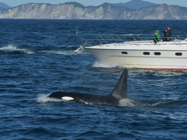 Экспедиция по Камчатке с восхождениями на вулканы, морской прогулкой и рыбалкой - фото 1
