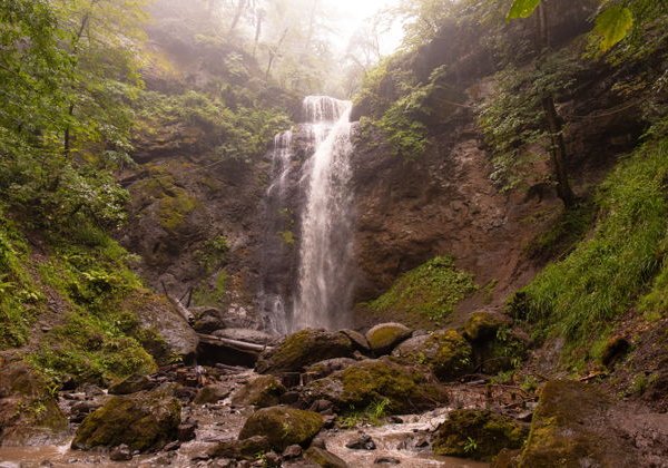 Однодневная экскурсия в город Ленкорань - фото 1