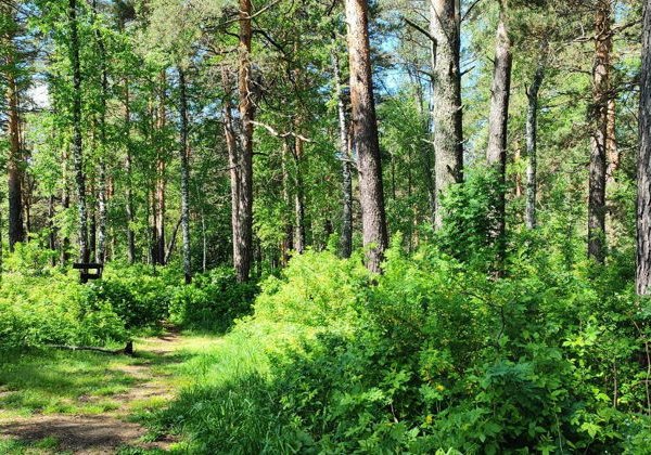 Водопады Бучило и Падун, Бердские скалы и тропа Зверобой - фото 4