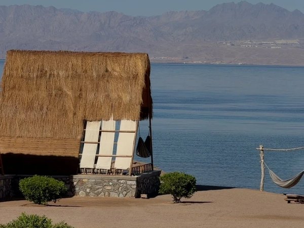 Исследуем подводные миры Нувейбе: снорклинг с черепахами и ночь в бунгало (индивидуально) - фото 4