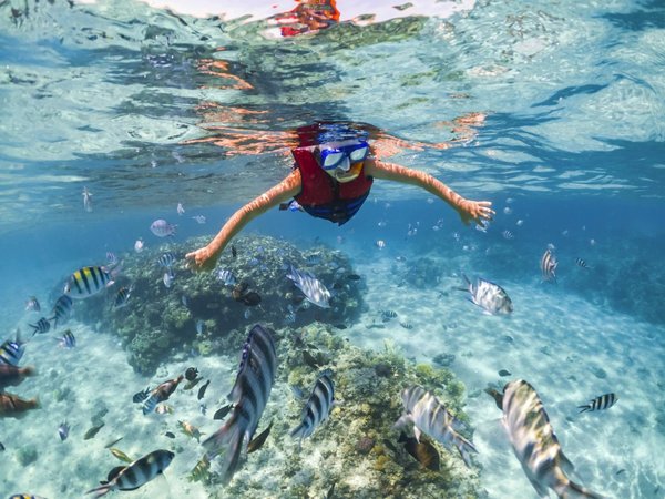 Семейный день в Хургаде: от пирамид до коралловых рифов