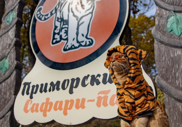 Три в одном: тур в сафари-парк и бухты Шамора и Стеклянная