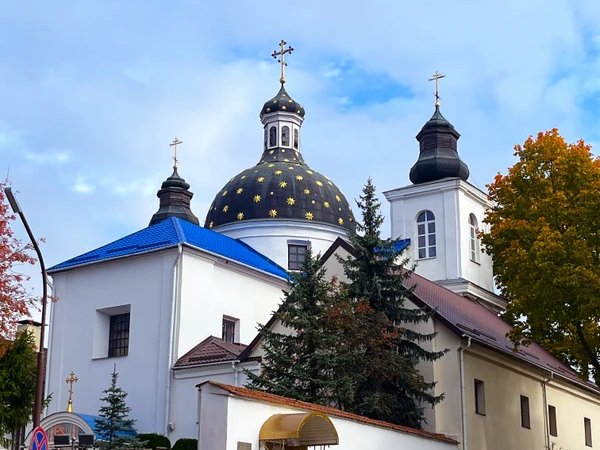 Древний город Гродно: три религии, два замка и загадка короля
