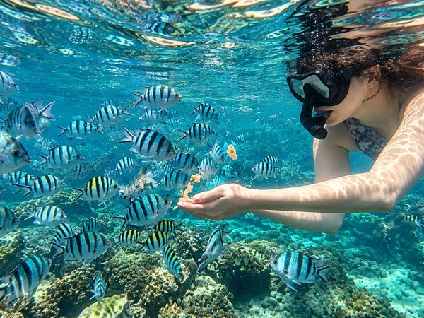 Жемчужная ферма в море и пляж морских звёзд — на Фукуоке