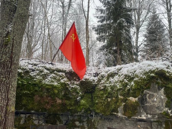 Финские укрепления против советской обороны: Линия Маннергейма и Сестрорецкий рубеж - фото 1