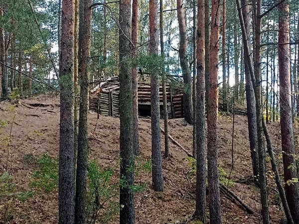 Финские укрепления против советской обороны: Линия Маннергейма и Сестрорецкий рубеж - фото 2
