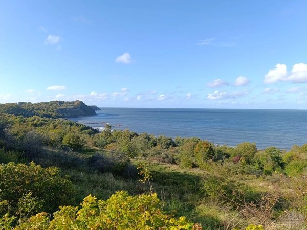 Балтийск, Янтарный, Филинская бухта и Светлогорск - фото 2