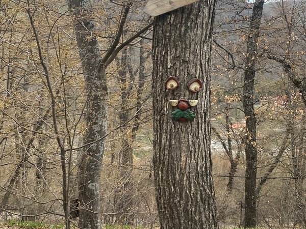 Тихая охота в дилижанских лесах: за грибами к Агарцину (из Еревана) - фото 4