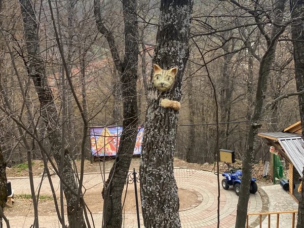 Тихая охота в дилижанских лесах: за грибами к Агарцину (из Еревана) - фото 2