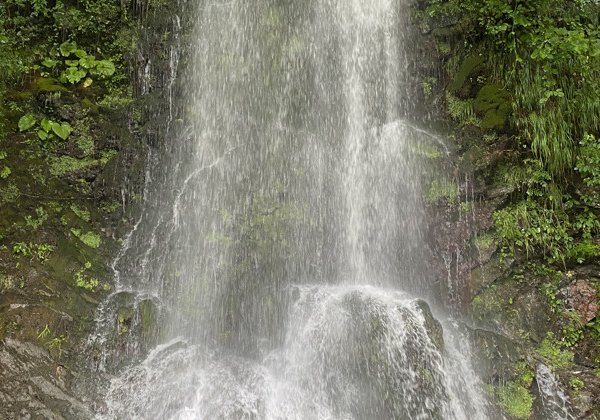 Сказочные водопады Красной Поляны