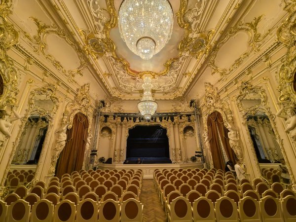 Великолепный особняк фон Дервиза изнутри - фото 1