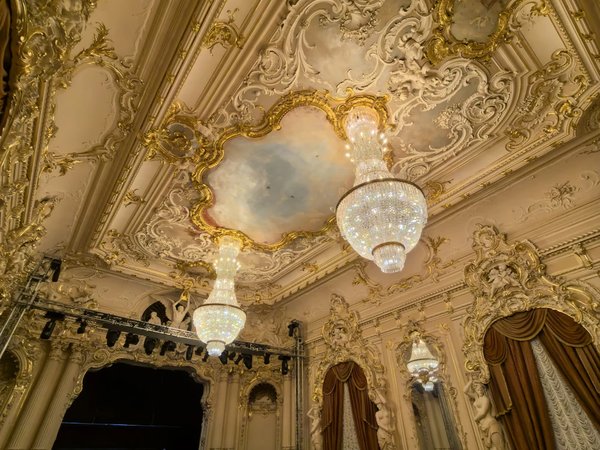 Великолепный особняк фон Дервиза изнутри - фото 4