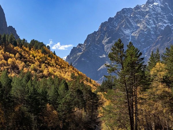 Пеший поход к вершинам Дигорского ущелья (с выездом из Владикавказа) - фото 2