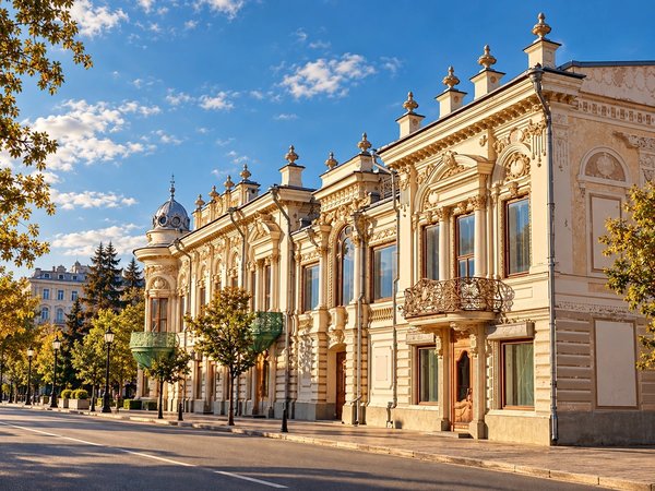 Квест по Казани без гида: коты, купцы и тайны фасадов - фото 3