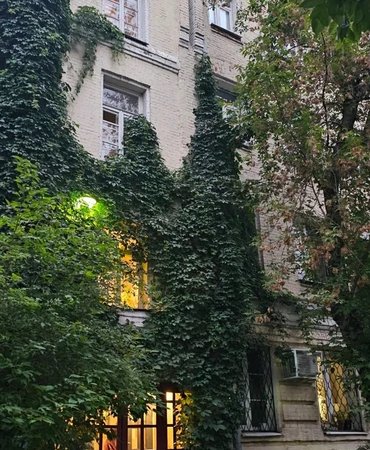 Между светом и тенью: тайны Хитровки и судьбы её обитателей