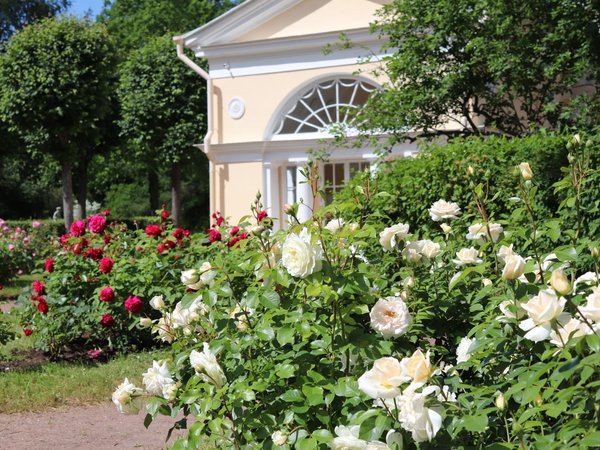 Из Петербурга в Павловск: прогулка по императорскому парку - фото 2
