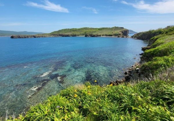Лучшее на Русском Острове: тур с максимальным охватом за 1 день - фото 4