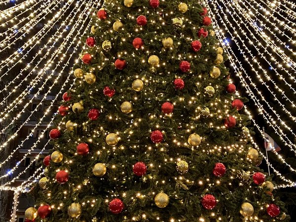 Обзорная экскурсия «Зеленоградск перед Рождеством» - фото 4