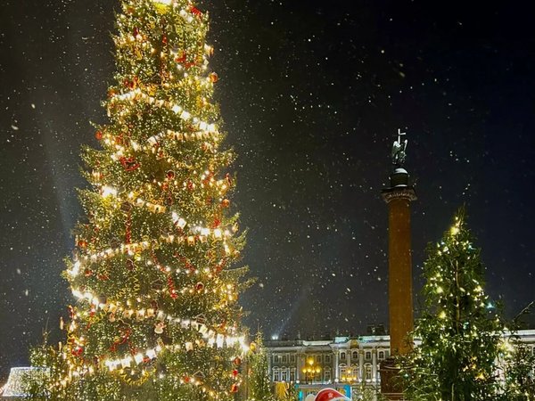 Новогодняя жизнь имперского Петербурга - фото 3