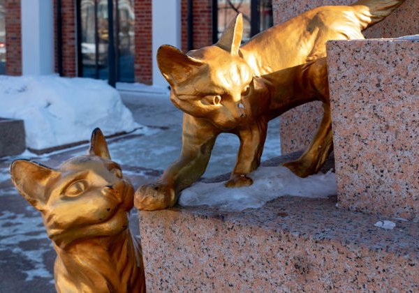 Тюмень сквозь века: обзорная экскурсия по городу - фото 1