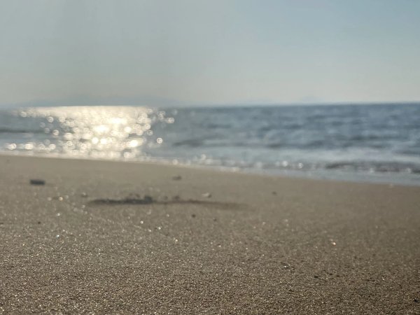 По лучшим местам полуострова Брюса: приморские водопады и парк «Земля леопарда» - фото 4