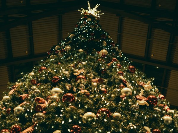 Новогодний Петербург: огни, подарки, чудеса - фото 3