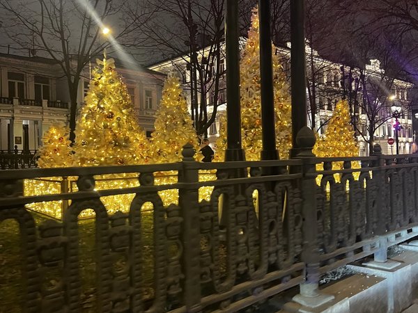Новогодняя Москва: автобусная экскурсия по нарядным локациям столицы - фото 2