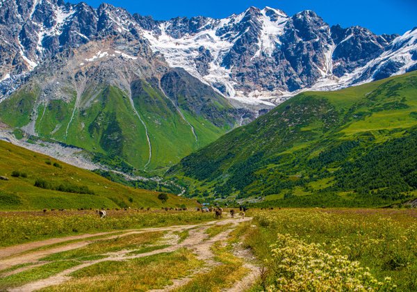 Средь гор высоких и могучих – 5 дней / 4 ночи