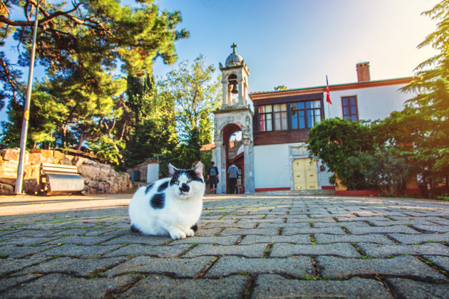 Фото - экскурсия: Фотопрогулка по Принцевым Островам