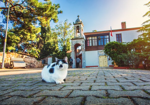 Фотопрогулка на Принцевы Острова